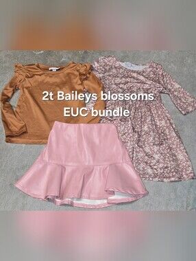Baileys Blossoms Girls Pink Floral Dress & Rust Top Matching Set